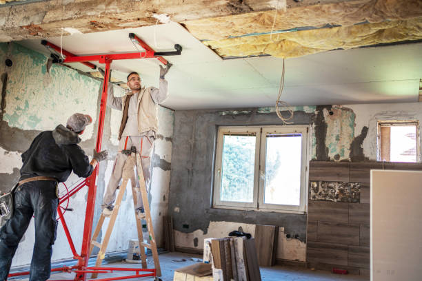 Eco-Friendly or Green Insulation Solutions in Paisley, FL